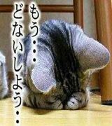 �漣����ؿ�˷����