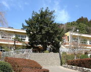新城市立東陽小学校