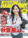 �����������ŵ�