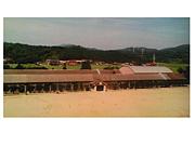 ���츩����Τ��Ω������ع�