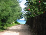 ひまつぶしの殿堂