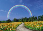 キングダムオブハッピネスの虹