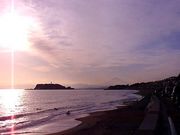 SURF��in����Τ���͡�
