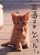 ǭ����륮����ä��Ƥʤ��ʤ�