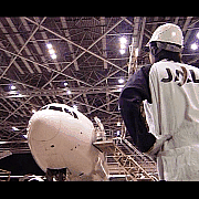 �����Ҷ������� ������