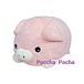 Poccha Pocha