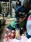 1998ǯ������´�������ɤ����