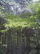 教師未満〜教師志望苦学生へ