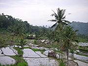 ��������ե�����