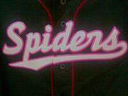  Pink Spiders