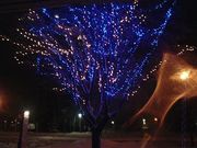 ��ʹ�����