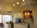 cafe����hair salon Jelly fish