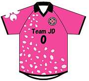 TEAM JD(�̶彣�եåȥ���)