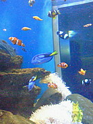 ���������餵����