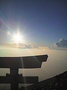 �����󤻤Τߤʤ��