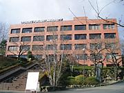 ʡ 彣