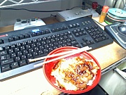 �ѥ��������������