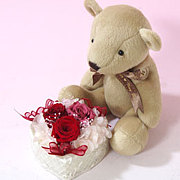 ̵���ΰ�(���͡��۶��ԡ��ưʳ�)