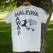 HALEIWA SUPER MARKET HAWAII
