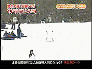 �ߥ顼�ޥ����դΰճ����õ�