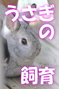 うさぎの飼育マメ知識