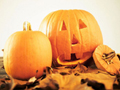 �Ļ��Ѹ�circle/Little Pumpkins