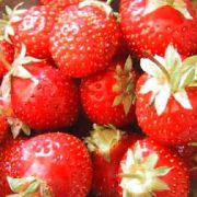 �����Ǥ�ä��礤��