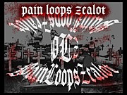 Pain Loops Zealot