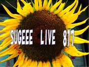 SUGEEE LIVE 817