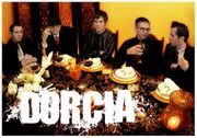 Dorcia