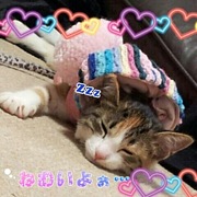 �ꥢͧ������♡in������