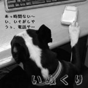 ���̤���ʤ��̡����ꥨ��������