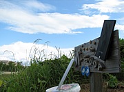 関西学院大学松田研究室