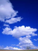 ���奤�٥����