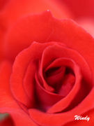 *:♡���ݎŤ���♡*:.