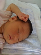 �Ұ�ơ�������󡡡��Ų��ԡ�