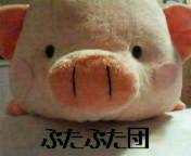 ֤֤ġlet's pork