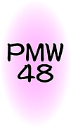 Ｐ．Ｍ．Ｗ　2nd 〜新たな扉〜