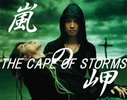 *THE CAPE OF STORMS*