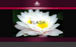 �إ֥�꡼���ѡ�HeavenlySpa)��