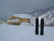 ��ϼ�ܡ�������˪��