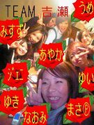 TEAM����