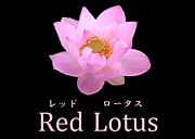 Red Lotus