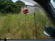 �������ե�����