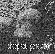 SHEEP SOUL GENERATION