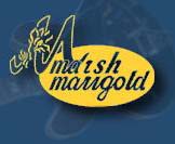 Marsh-marigold Records