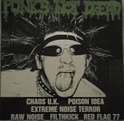 punk's not dread