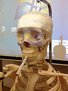 ���ܹ��ر� ���ž�������β�