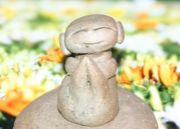 ����ι���