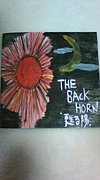 �㤤�Ƥ���� / THE BACK HORN